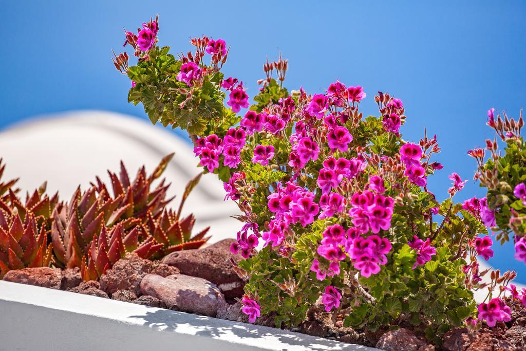 Erossea Villa Imerovigli (Santorini) Exterior foto